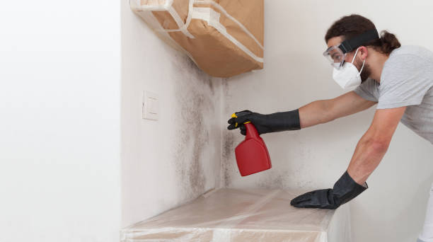 Professional Mold Inspection And Testing technician working in Trenton, IL