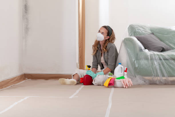 Reliable Mold Inspection And Testing contractor in Trenton, IL by 24 Hour Mold Removal